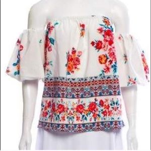 MISA Log Angeles floras top NWT